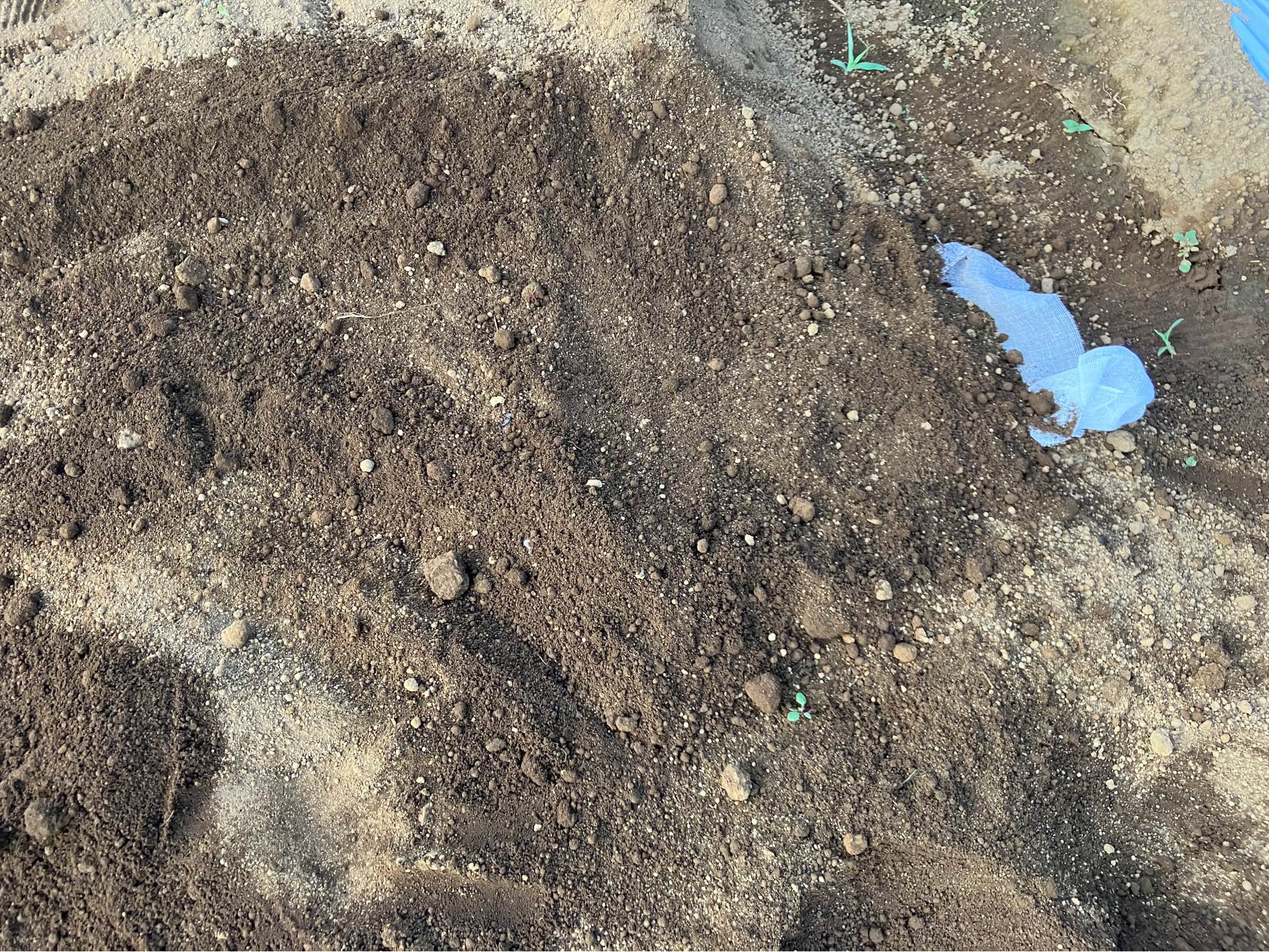 【豊かな土プロジェクト・番外編②】埋めたパンツを掘り起こす!!