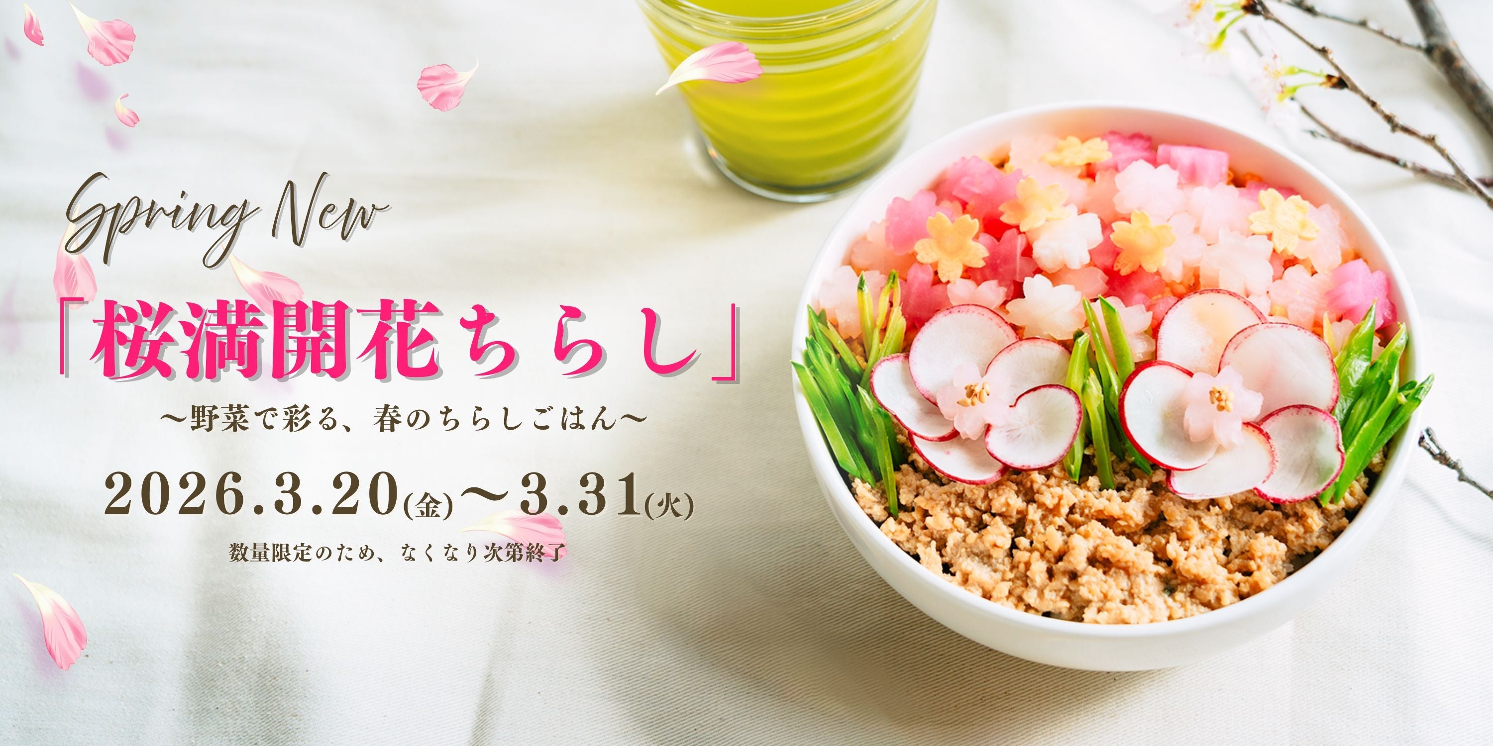春色と野菜を詰め合わせた「桜満開花ちらし」発売のお知らせ