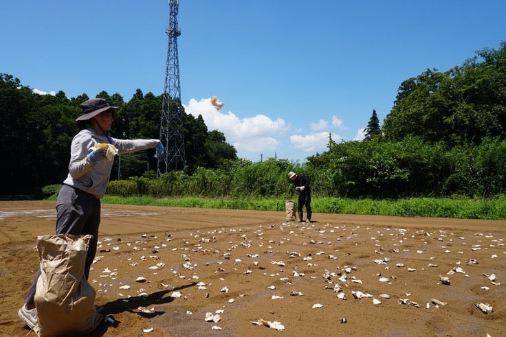 【豊かな土プロジェクトVol.10】栄養分析結果発表!