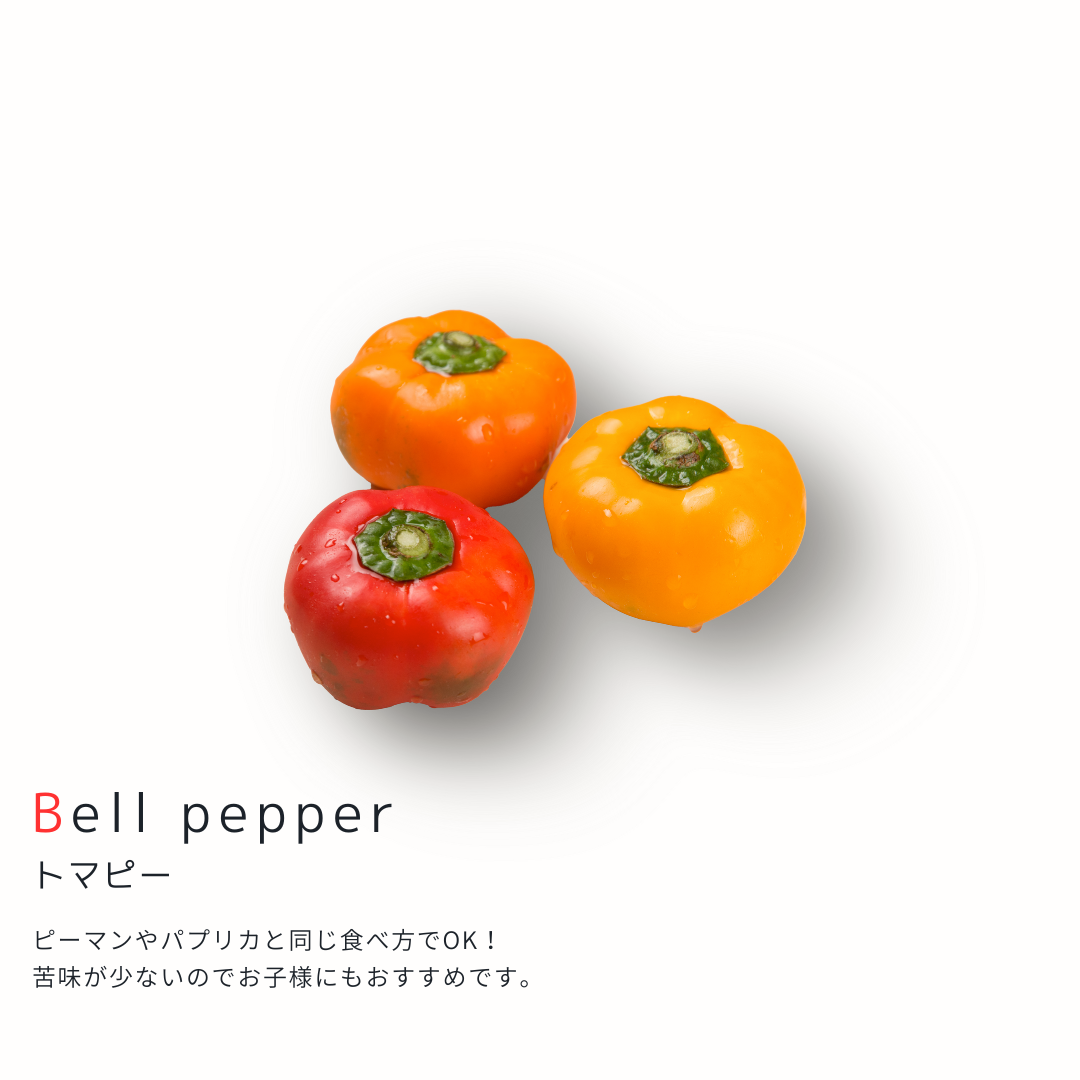 【単品】こだわり西洋野菜セット《3~6種類》