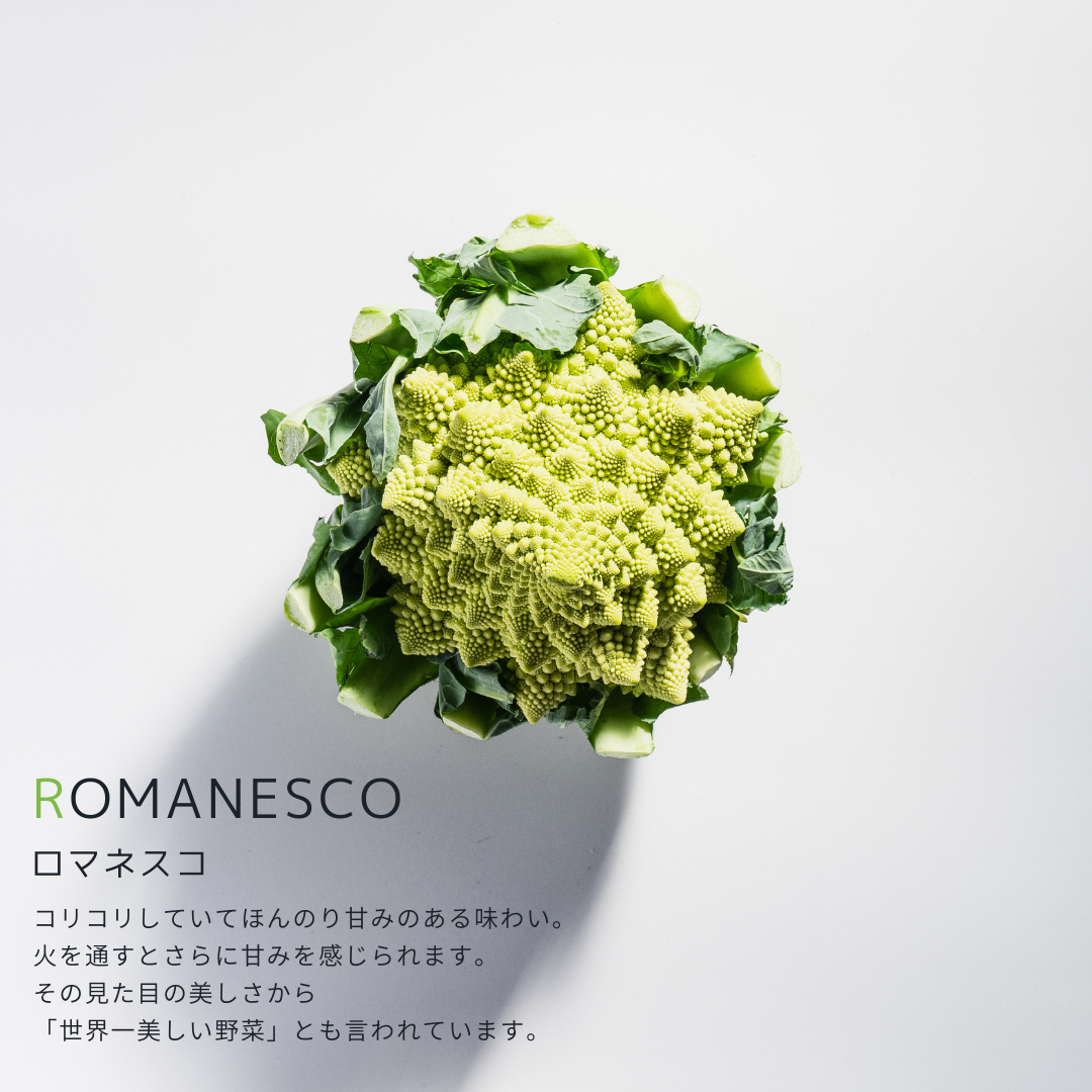 こだわり西洋野菜セット《3~6種類/限定単品価格》