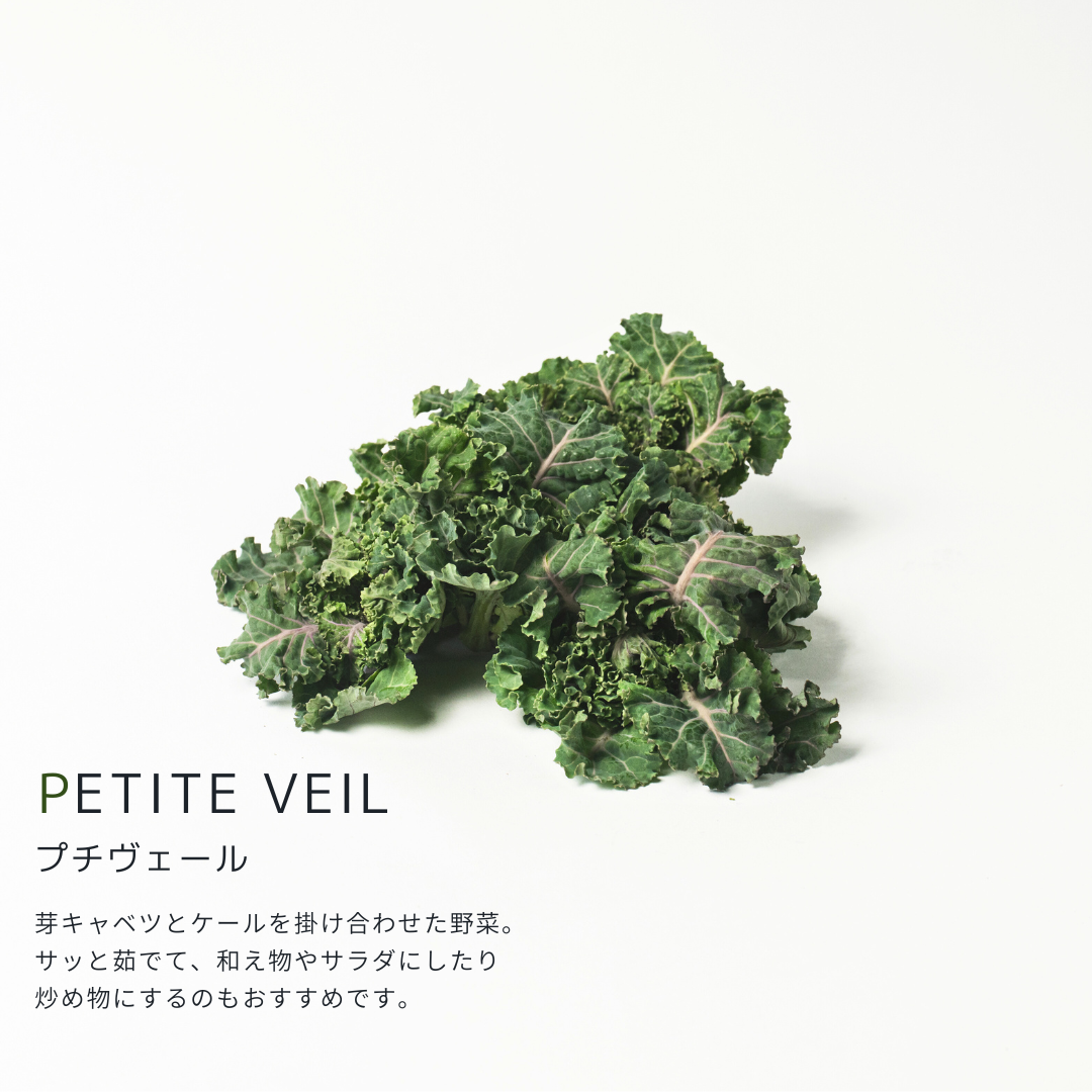 こだわり西洋野菜セット《3~6種類/限定単品価格》