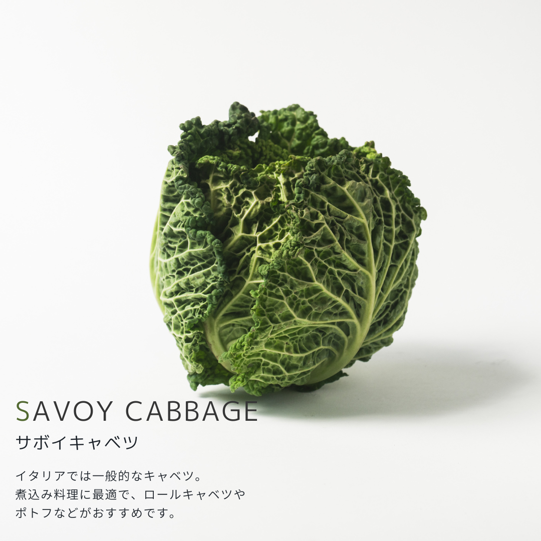 こだわり西洋野菜セット《3~6種類/限定単品価格》