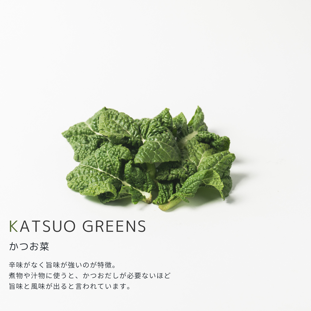 こだわり西洋野菜セット《3~6種類/限定単品価格》