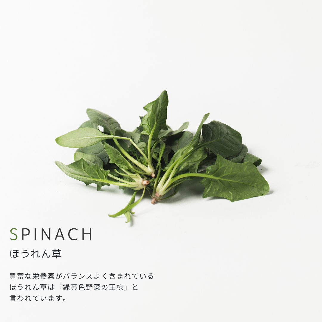 こだわり西洋野菜セット《3~6種類/限定単品価格》