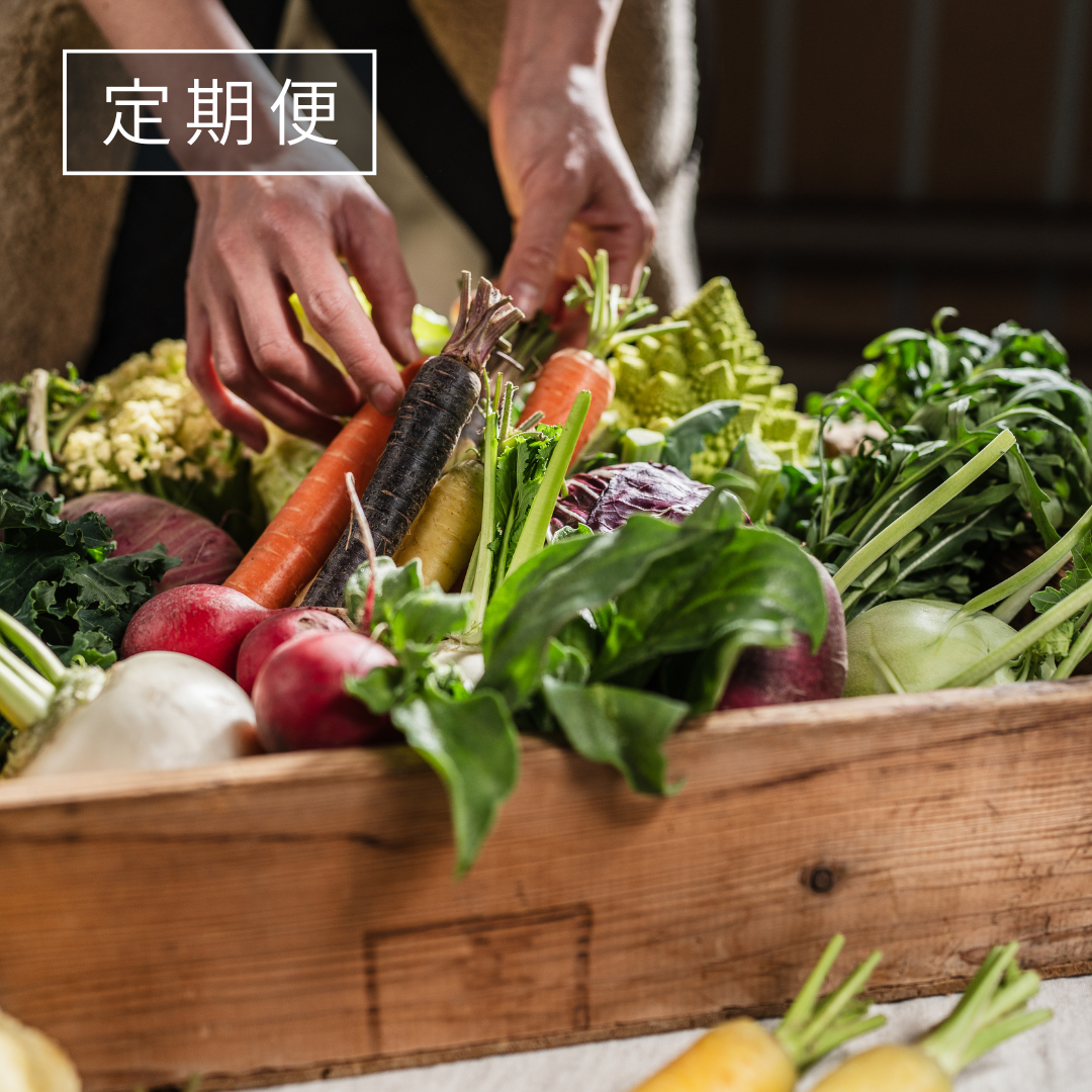 【定期便】こだわり西洋野菜セット《初回は特別価格1,760円(税込)+送料》(既存の方)