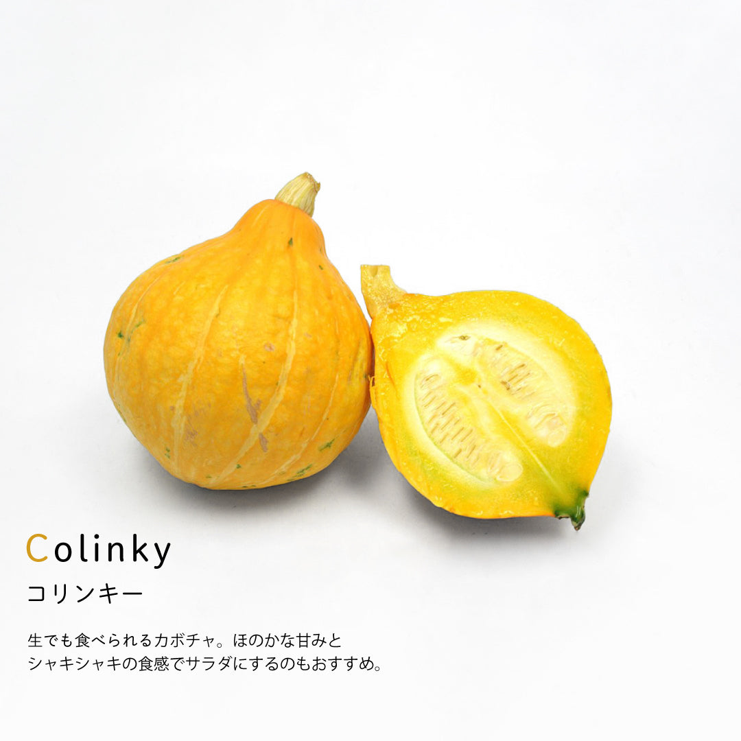 【定期便】こだわり西洋野菜セット《初回は特別価格1,760円(税込)+送料》(既存の方)