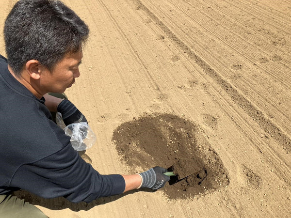 【豊かな土プロジェクト Vol.1】いまの畑の土を徹底調査！