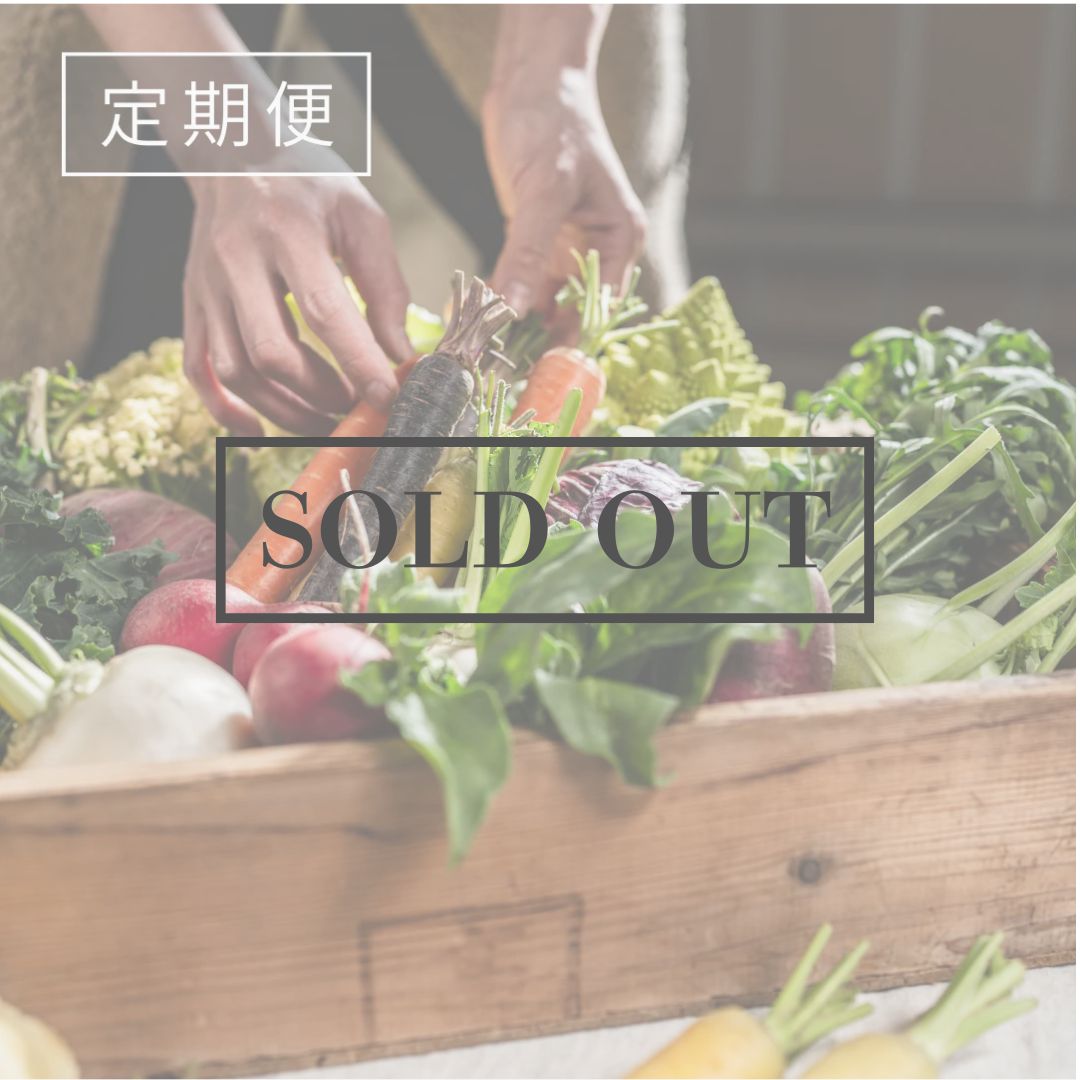 【定期便】こだわり西洋野菜セット《初回は特別価格1,760円（税込）＋送料》