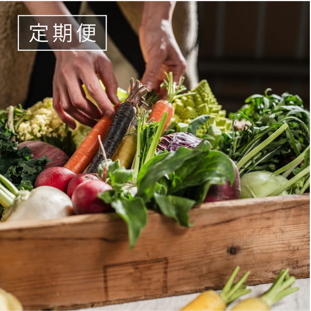 【定期便】こだわり西洋野菜セット《初回は特別価格1,760円（税込）＋送料》