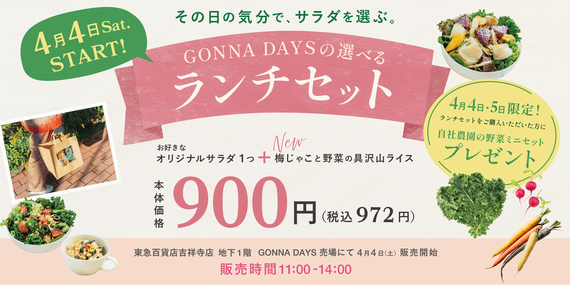 lunch_set_with_veggies_bunner