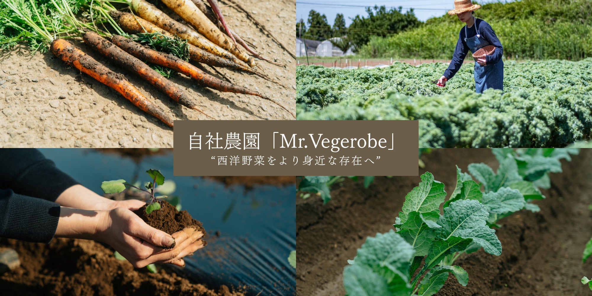 ec_farm_banner