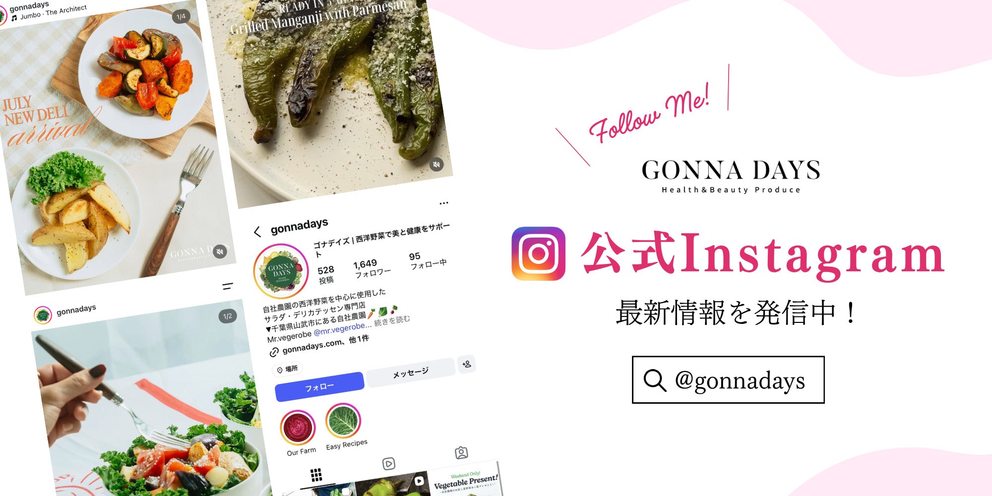 ec_instagram_banner