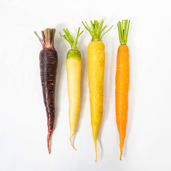 カラフルにんじん